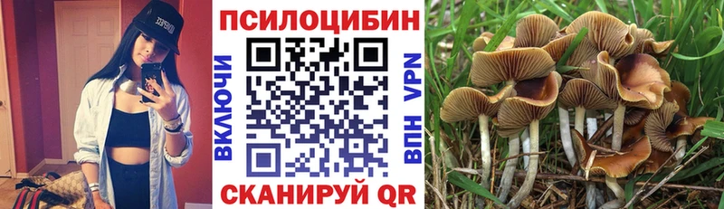 Купить где  Владикавказ  Псилоцибиновые грибы Magic Shrooms